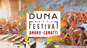 duna beach festival flyer